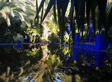 20171222_082938-min