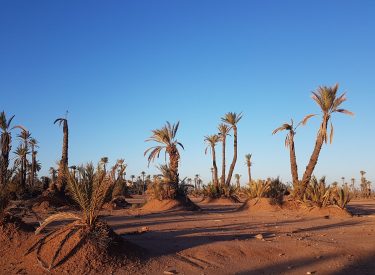 20171225_081004-min