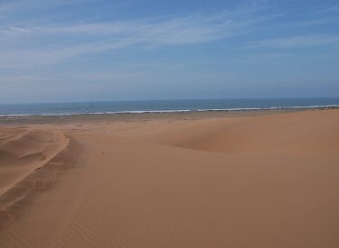 DSC_1142-min