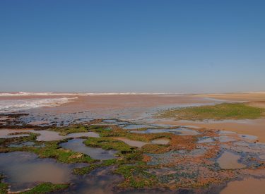 DSC_1434-min