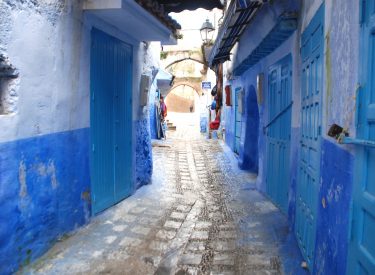DSC_1552