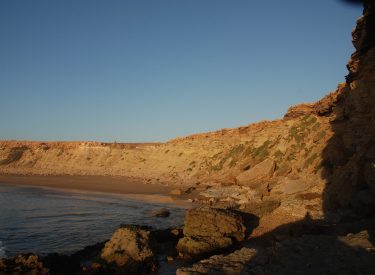 DSC_1576-min