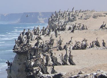 Dakhla_09-min