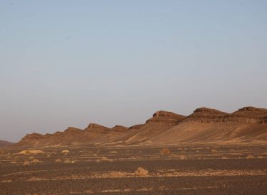 IMG_1383