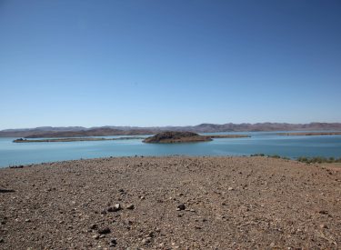 IMG_2133