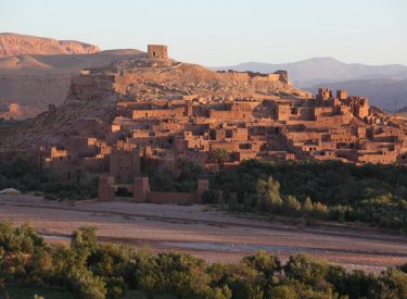 IMG_2857
