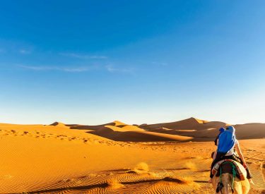 AdobeStock_150242560-min