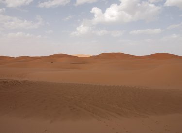 J1936x1296-22011-min