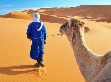 desert-Morocco-950x640-min