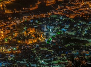 _DSC7959