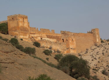 IMG_0028 copie